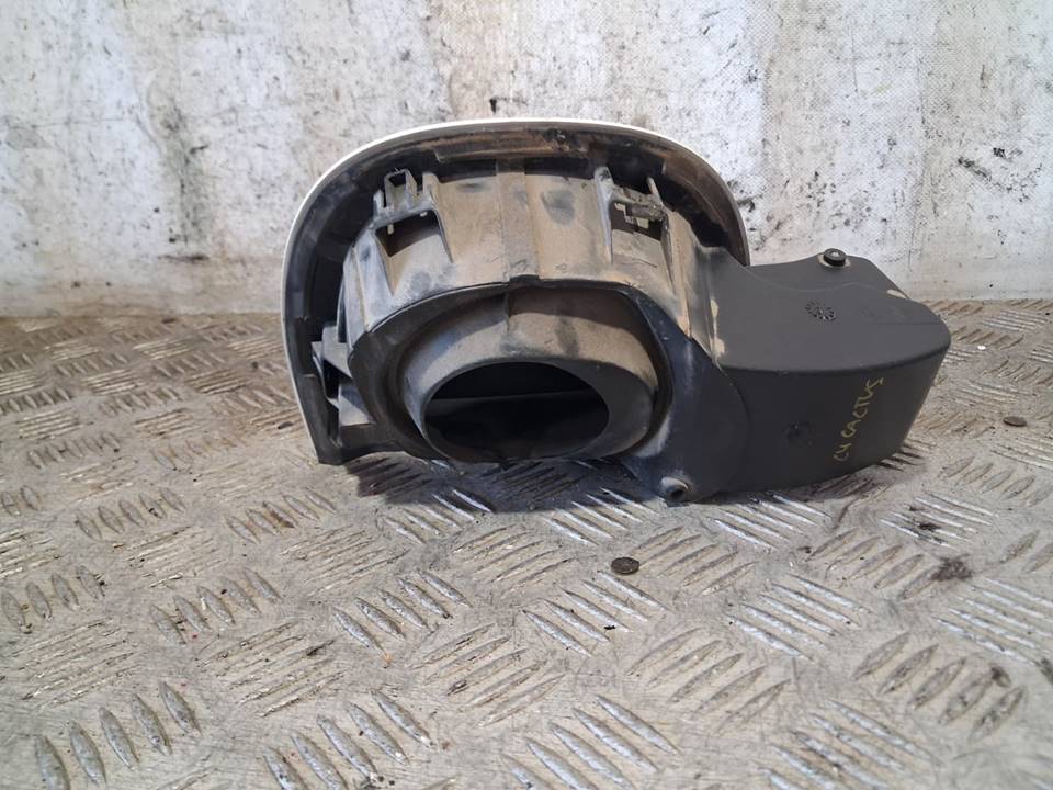 Tapa exterior combustible 9801501380 de Citroen C4 cactus 2014-2014 - pieza usada