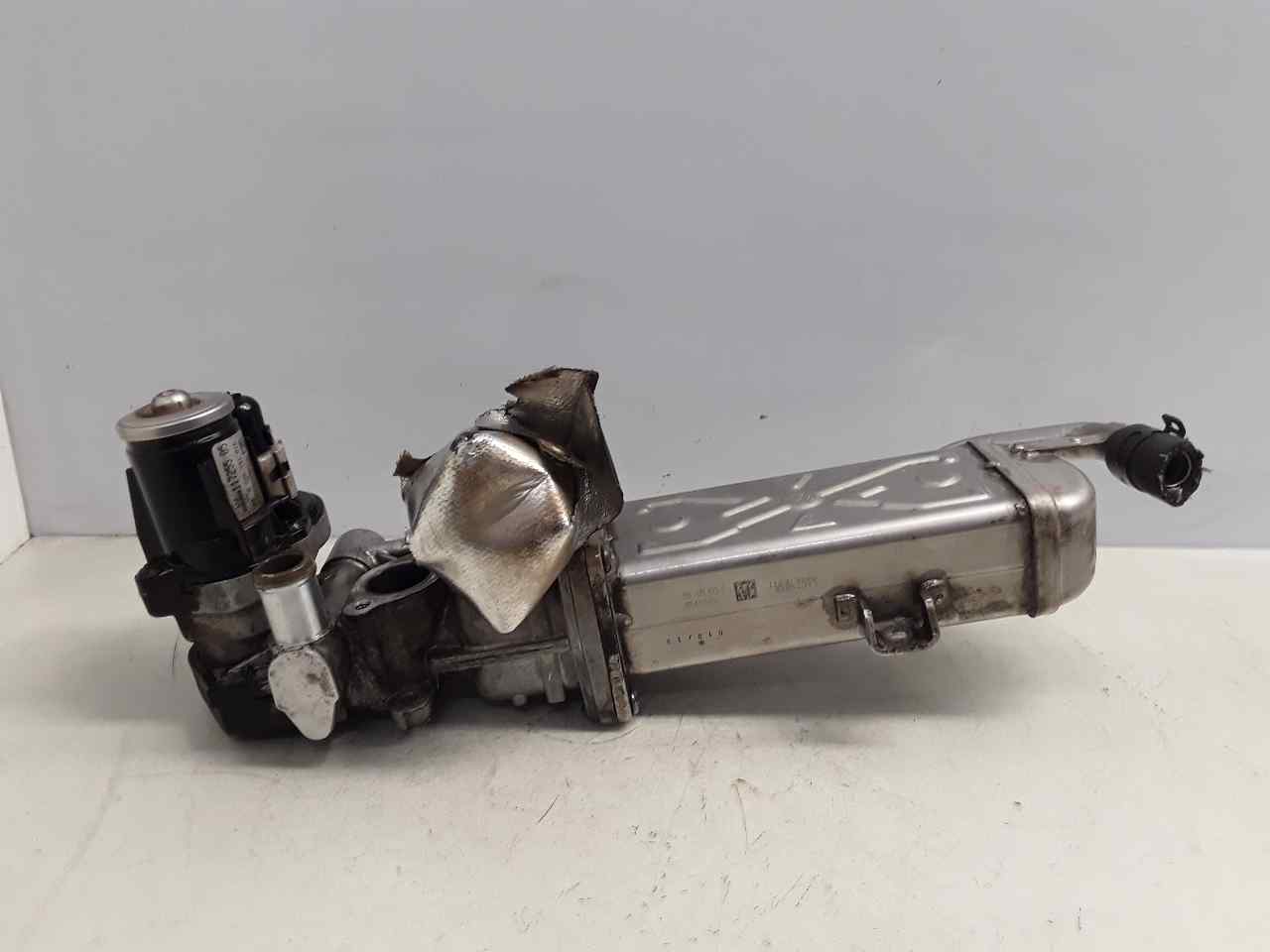 SEAT Altea 1 generation (2004-2013) EGR dzesētājs 03L131512C 25622028