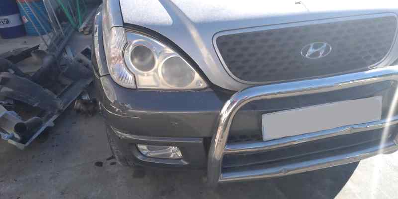 HYUNDAI Terracan 2 generation (2004-2009) Volant 25605607