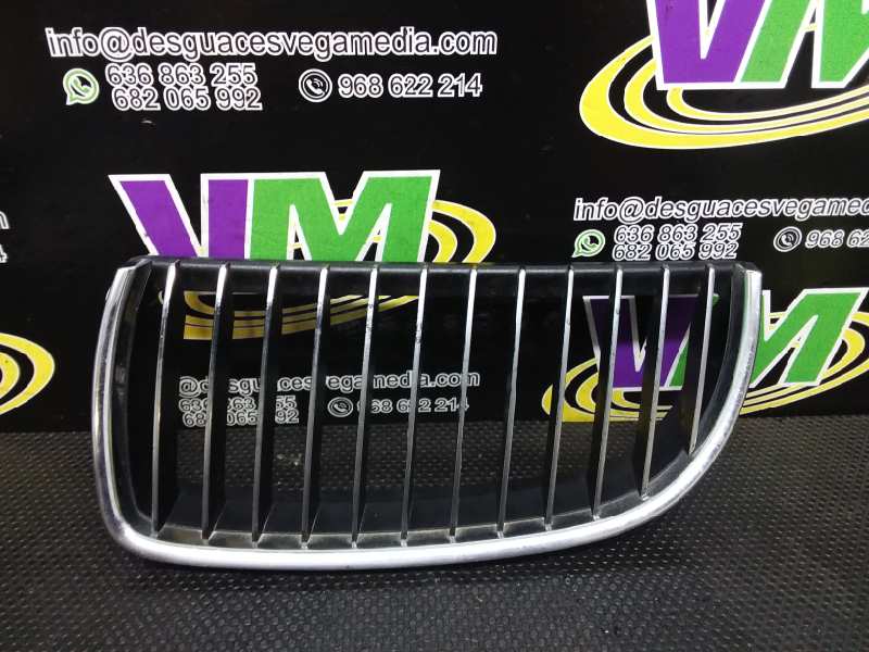 BMW 3 Series E90/E91/E92/E93 (2004-2013) Radiator Grille 712009 18901239